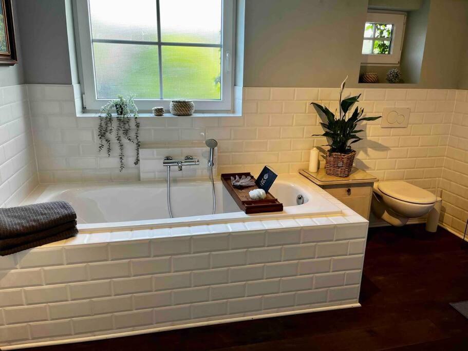 Ferienwohnung Hofblick ツュルピッヒ エクステリア 写真